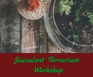 Succulent Terrarium Workshop